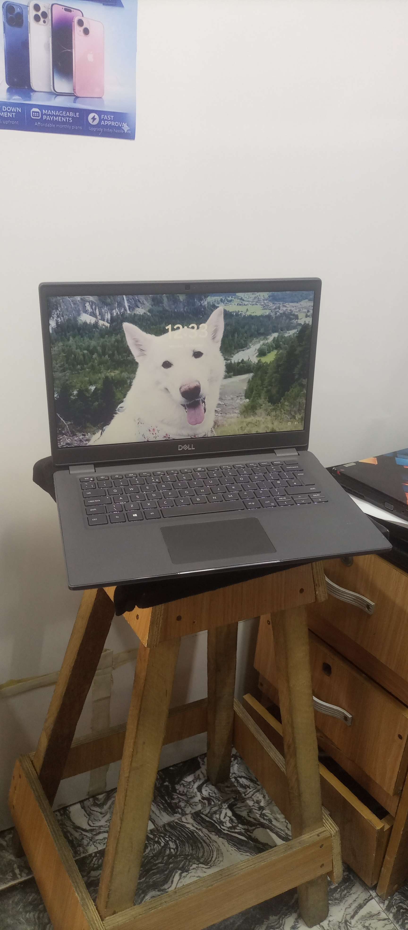 DELL Latitude 3410